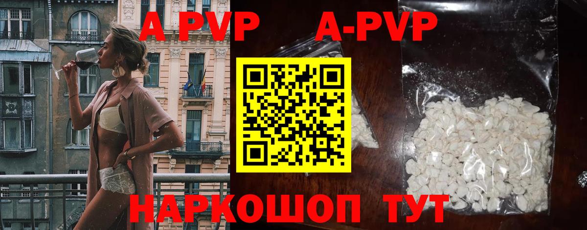 Alfa_PVP СК КРИС Прокопьевск