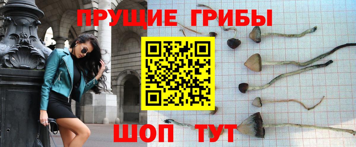 Псилоцибиновые грибы прущие грибы  как найти закладки  Прокопьевск  Вход с VPN 