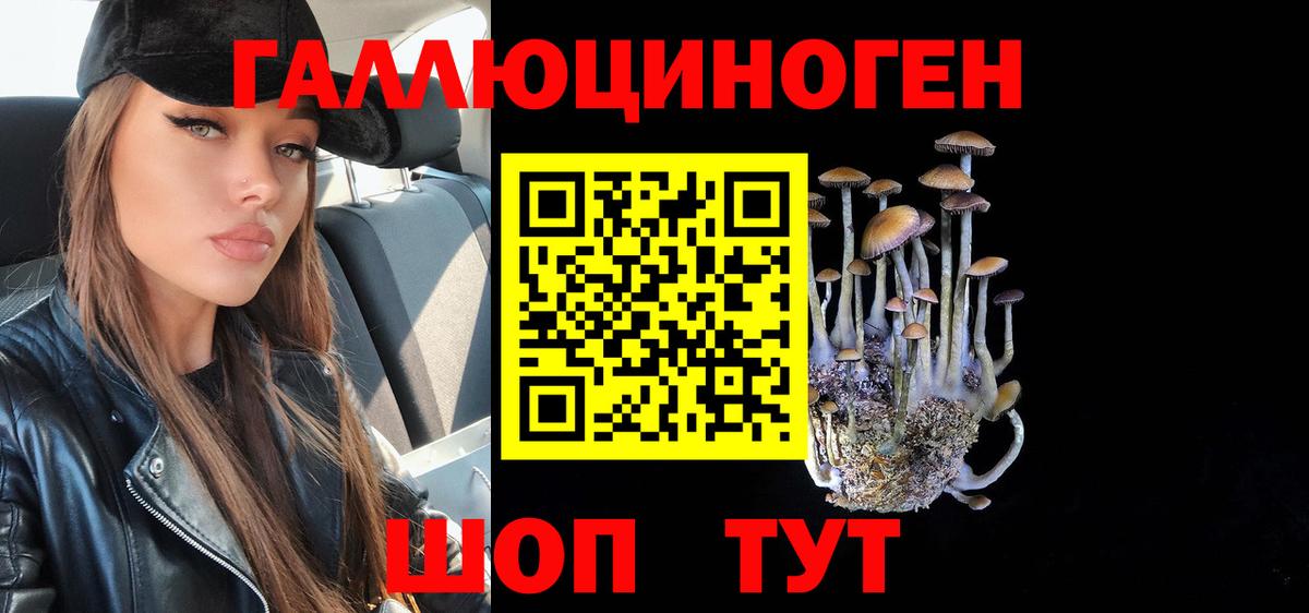 Галлюциногенные грибы Psilocybe Прокопьевск